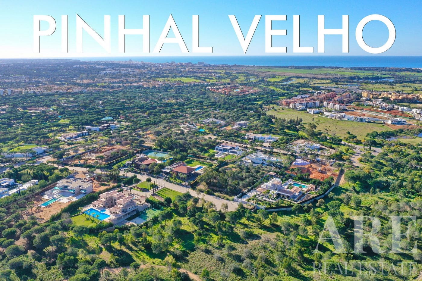 Pinhal Velho