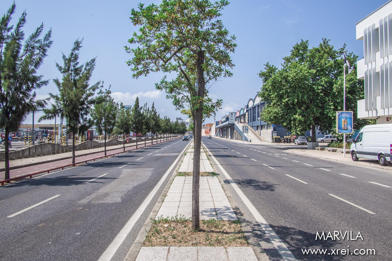 Coastal avenues connecting Parque das Nações and central Lisbon.