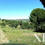 Farmhouse for sale in São Bartolomeu de Messines, Silves, Algarve &bull; X67581 - gallery image