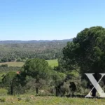 Farmhouse for sale in São Bartolomeu de Messines, Silves, Algarve &bull; X67581 - gallery image