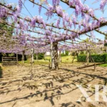 Villa 5-bedroom for sale in Lago, Amares, Braga • X94091 - gallery image