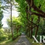 Farmhouse for sale in S.Maria e S.Miguel, S.Martinho, S.Pedro Penaferrim, Sintra, Greater Lisbon &bull; X67057 - gallery image