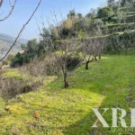 Villa 5-bedroom for sale in Anreade e São Romão de Aregos, Resende, Viseu • X84536 - gallery image