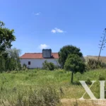 Farmhouse for sale in São Francisco da Serra, Santiago do Cacém, Setúbal &bull; X95191 - gallery image
