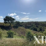 Farmhouse for sale in São Francisco da Serra, Santiago do Cacém, Setúbal &bull; X95191 - gallery image