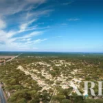 Villa Studio for sale in Authentic Bicas, Grândola e Santa Margarida da Serra, Grândola, Setúbal &bull; X59724 - gallery image