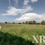 Villa 3-bedroom for sale in São Salvador, Ílhavo, Aveiro • X97452 - gallery image