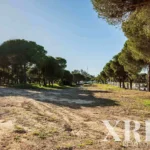 Land for sale in Montenegro, Faro &bull; X69281 - gallery image