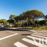Land for sale in Montenegro, Faro &bull; X69281 - gallery image