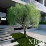 Land for sale in Montenegro, Faro &bull; X69281 - gallery image
