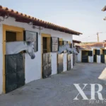 Farmhouse for sale in Santo Agostinho e São João Baptista e Santo Amador, Moura, Beja • X85742 - gallery image