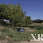 Farmhouse for sale in Redondo, Évora • X79765 - gallery image