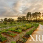 Apartment 1-bedroom for sale in Craveiral, São Teotónio, Odemira, Beja • X86686 - gallery image