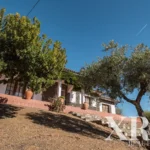Farmhouse for sale in Meirinhos, Mogadouro, Bragança &bull; X44847 - gallery image