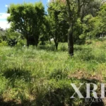 Farmhouse for sale in Travassós, Fafe, Braga • X49135 - gallery image