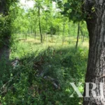Farmhouse for sale in Travassós, Fafe, Braga • X49135 - gallery image