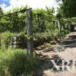Farmhouse for sale in Travassós, Fafe, Braga • X49135 - gallery image