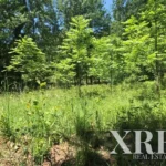 Farmhouse for sale in Travassós, Fafe, Braga • X49135 - gallery image