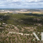 Land for sale in Alcácer do Sal (Santa Maria do Castelo), Alcácer do Sal, Setúbal &bull; X54951 - gallery image