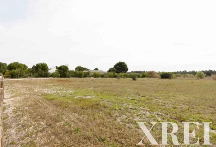 Land for sale in Comporta, Alcácer do Sal, Setúbal &bull; X71070