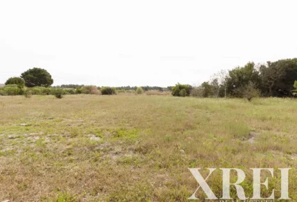 Land for sale in Comporta, Alcácer do Sal, Setúbal &bull; X71070