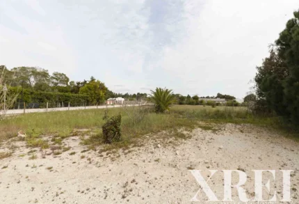 Land for sale in Comporta, Alcácer do Sal, Setúbal &bull; X71070