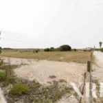 Land for sale in Comporta, Alcácer do Sal, Setúbal &bull; X71070 - gallery image