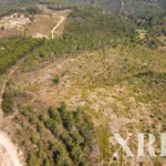 Land for sale in Aljezur, Algarve • X72935 - gallery image