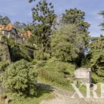 Farmhouse for sale in S.Maria e S.Miguel, S.Martinho, S.Pedro Penaferrim, Sintra, Greater Lisbon &bull; X77659 - gallery image