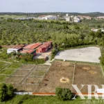 Farmhouse for sale in Assunção, Ajuda, Salvador e Santo Ildefonso, Elvas, Portalegre &bull; X79187 - gallery image
