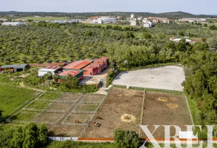 Farmhouse for sale in Assunção, Ajuda, Salvador e Santo Ildefonso, Elvas, Portalegre &bull; X79187