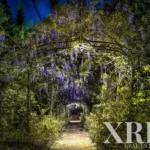 Farmhouse for sale in Assunção, Ajuda, Salvador e Santo Ildefonso, Elvas, Portalegre &bull; X79187 - gallery image