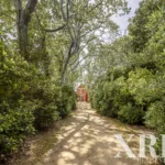 Farmhouse for sale in Assunção, Ajuda, Salvador e Santo Ildefonso, Elvas, Portalegre &bull; X79187 - gallery image
