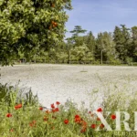 Farmhouse for sale in Assunção, Ajuda, Salvador e Santo Ildefonso, Elvas, Portalegre &bull; X79187 - gallery image