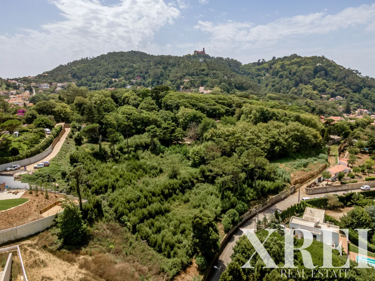 Land for sale in S.Maria e S.Miguel, S.Martinho, S.Pedro Penaferrim, Sintra, Greater Lisbon &bull; X82297
