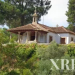 Building for sale in Mangualde, Mesquitela e Cunha Alta, Mangualde, Viseu &bull; X85133 - gallery image