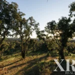 Land for sale in Santiago do Cacém, S.Cruz e S.Bartolomeu da Serra, Santiago do Cacém, Setúbal &bull; X87331 - gallery image