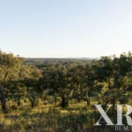 Land for sale in Santiago do Cacém, S.Cruz e S.Bartolomeu da Serra, Santiago do Cacém, Setúbal &bull; X87331 - gallery image