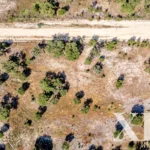 Land for sale in Santo Estevão, Benavente, Santarém &bull; X89536 - gallery image