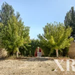 Farmhouse for sale in Dois Portos, Torres Vedras, Greater Lisbon • X90218 - gallery image