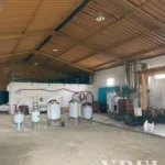 Land for sale in Alijó, Vila Real • X91498 - gallery image