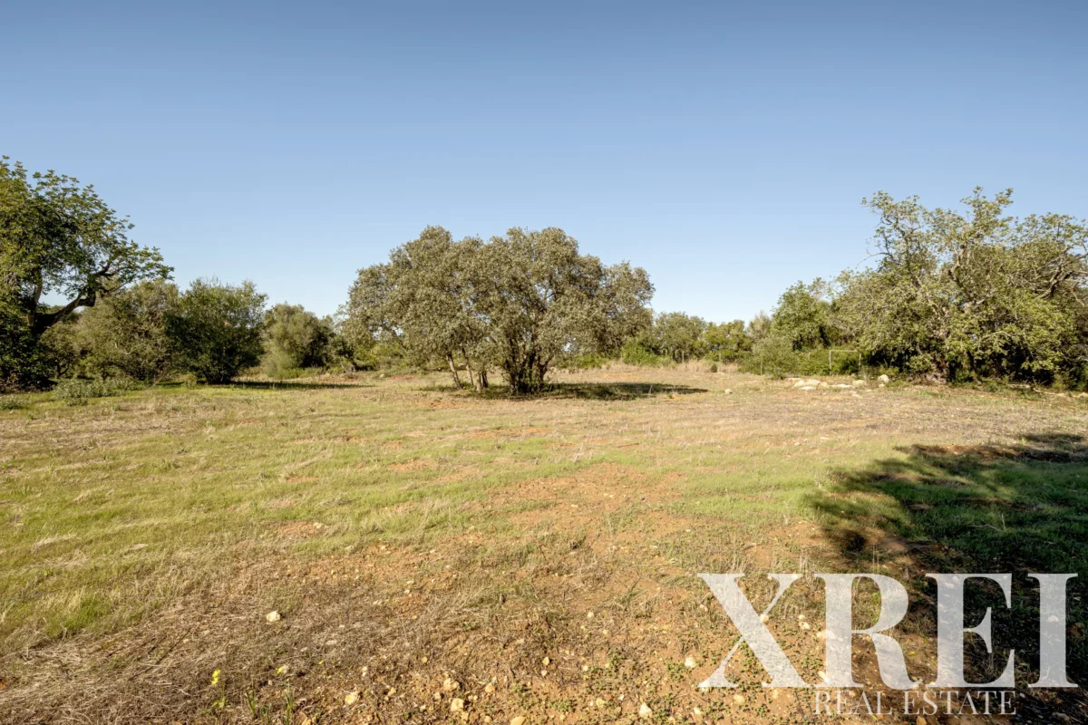 Farmhouse for sale in Pêra, Silves, Algarve • X93592
