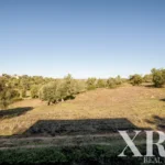 Farmhouse for sale in Pêra, Silves, Algarve • X93592 - gallery image
