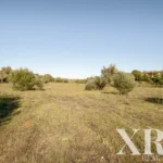Farmhouse for sale in Pêra, Silves, Algarve • X93592 - gallery image