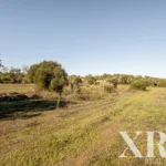 Farmhouse for sale in Pêra, Silves, Algarve • X93592 - gallery image