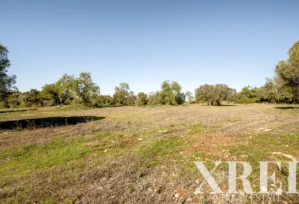 Land for sale in Pêra, Silves, Algarve &bull; X93912