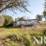Land for sale in Pêra, Silves, Algarve • X93912 - gallery image