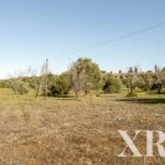 Land for sale in Pêra, Silves, Algarve • X93912 - gallery image