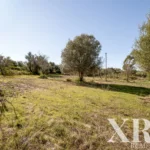 Land for sale in Pêra, Silves, Algarve • X93912 - gallery image