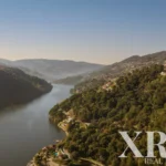 Farmhouse for sale in Santa Leocádia e Mesquinhata, Baião, Porto &bull; X93924 - gallery image